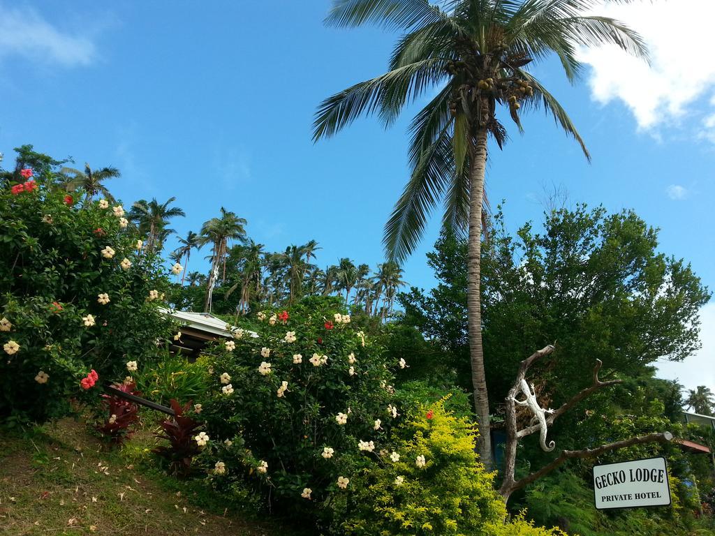 Gecko Lodge Fiji Savusavu Exterior photo